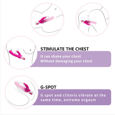 Le GV amical de tache de Honey Sex Toys Rabbit Vibrator G de godemiché de silicone de peau a approuvé