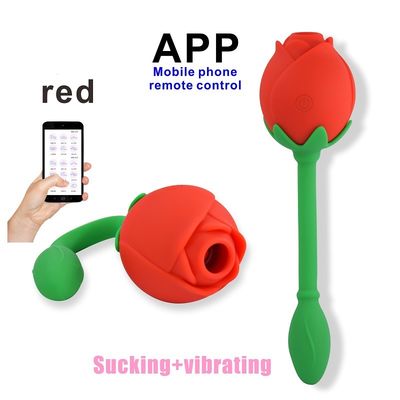 Dispositif de succion clitoridien de stimulation de tache d'IPX6 Rose Clitoral Sucker Vibrator Sex Toy Vagina G