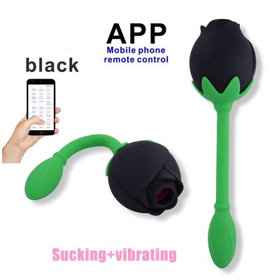 Dispositif de succion clitoridien de stimulation de tache d'IPX6 Rose Clitoral Sucker Vibrator Sex Toy Vagina G