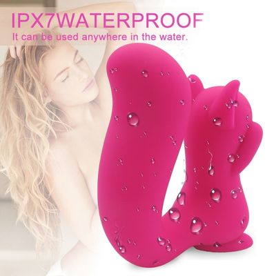 Le sexe Toy Squirrel Sucker ROHS de vibrateur de Clit de mamelon de 10 fréquences a approuvé