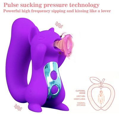 Le sexe Toy Squirrel Sucker ROHS de vibrateur de Clit de mamelon de 10 fréquences a approuvé