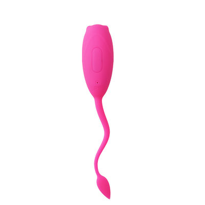 Le sexe de 10 de vitesse femmes de vibration joue l'oeuf sautant à télécommande IPX7
