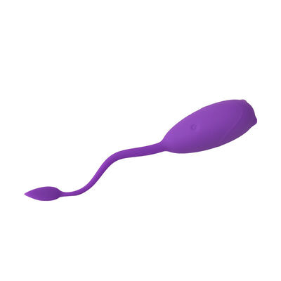 Le sexe de 10 de vitesse femmes de vibration joue l'oeuf sautant à télécommande IPX7